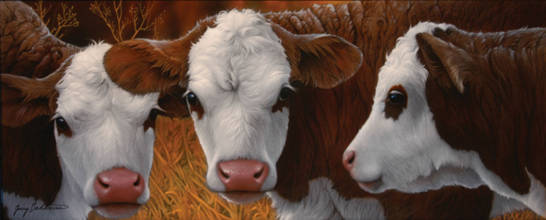 Jerry Gadamus " Little Dogies " three cows.