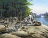 Wolf Ridge by Al Agnew