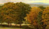 Click on image to view larger one.