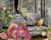 Jan Martin McGuire "Homestading"