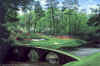 image - 12th at Augusta by Larry Dyke