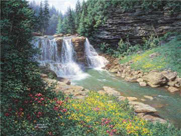 waterfall by larry dyke