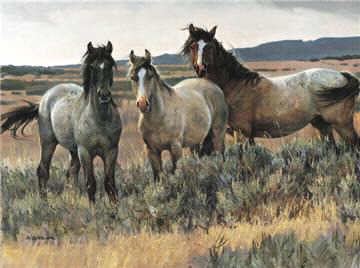amazing grays 2 by nancy glazier