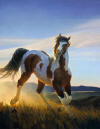 Nancy Glazier image " Audacious "