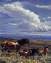 image " The Whispering Wind " by Nancy Glazier