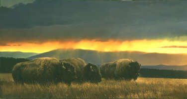 image Western Skies by Nancy Glazier