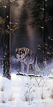 The Shadow Hunter by Rick Kelley