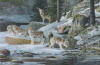 cry wolf by Scott Zoellick