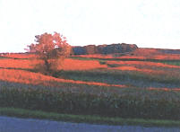 Otto Kerl Field by Tom Crozier