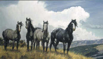 image "Amazing Greys 4" by N.Glazer.