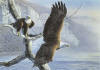 Al Agnew limited edition " American Odyssey "