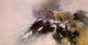 image " Arctic Solitude " by Morten E. Solberg