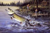 image of muskie "Beginners luck" by Scott Zoellick
