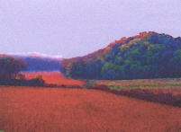 Sunset Field by Tom Crozier