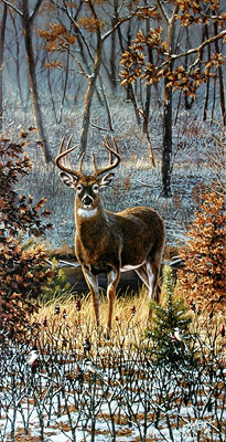 whitetail and chicadee image by Rick Kelley